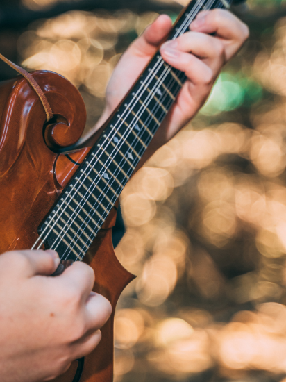 Mandolin teacher near me in dunedin tampa